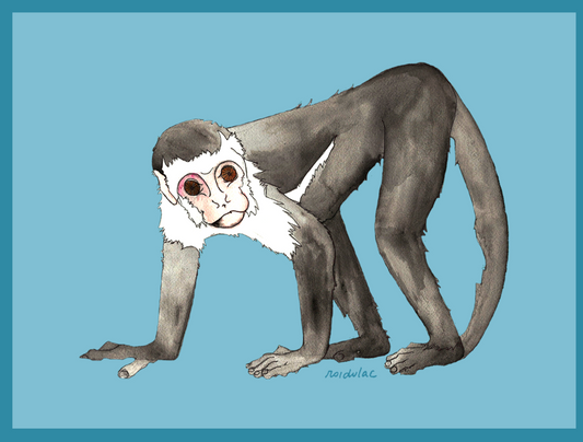 Placemat Monkey